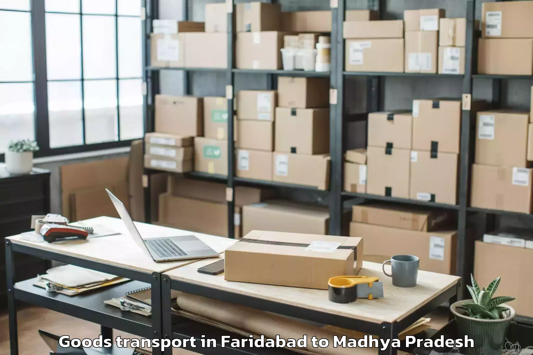 Expert Faridabad to Parasia Goods Transport